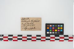 Etiketten zu Keramikgefäß (NHMW-PRAE-026158)